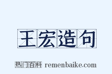 王宏造句是什么意思的图片